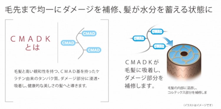 CMADKイメージ画像