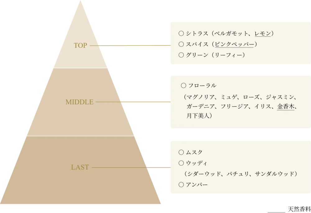 コスメデコルテ AQ アブソリュート エマルジョン マイクロラディアンス Ⅱ