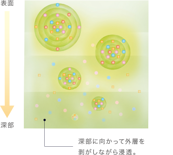 コタ クチュール シャンプー画像