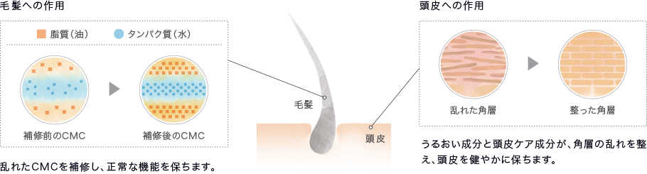 コタ　クチュールシャンプー画像