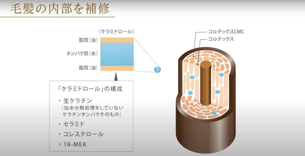 コタアイケアシャンプー画像