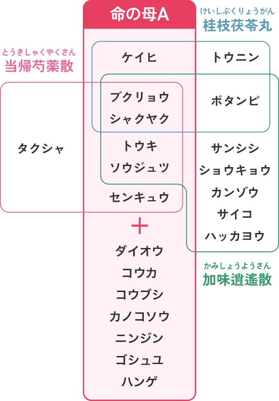 体格や体質を選ばない処方の画像