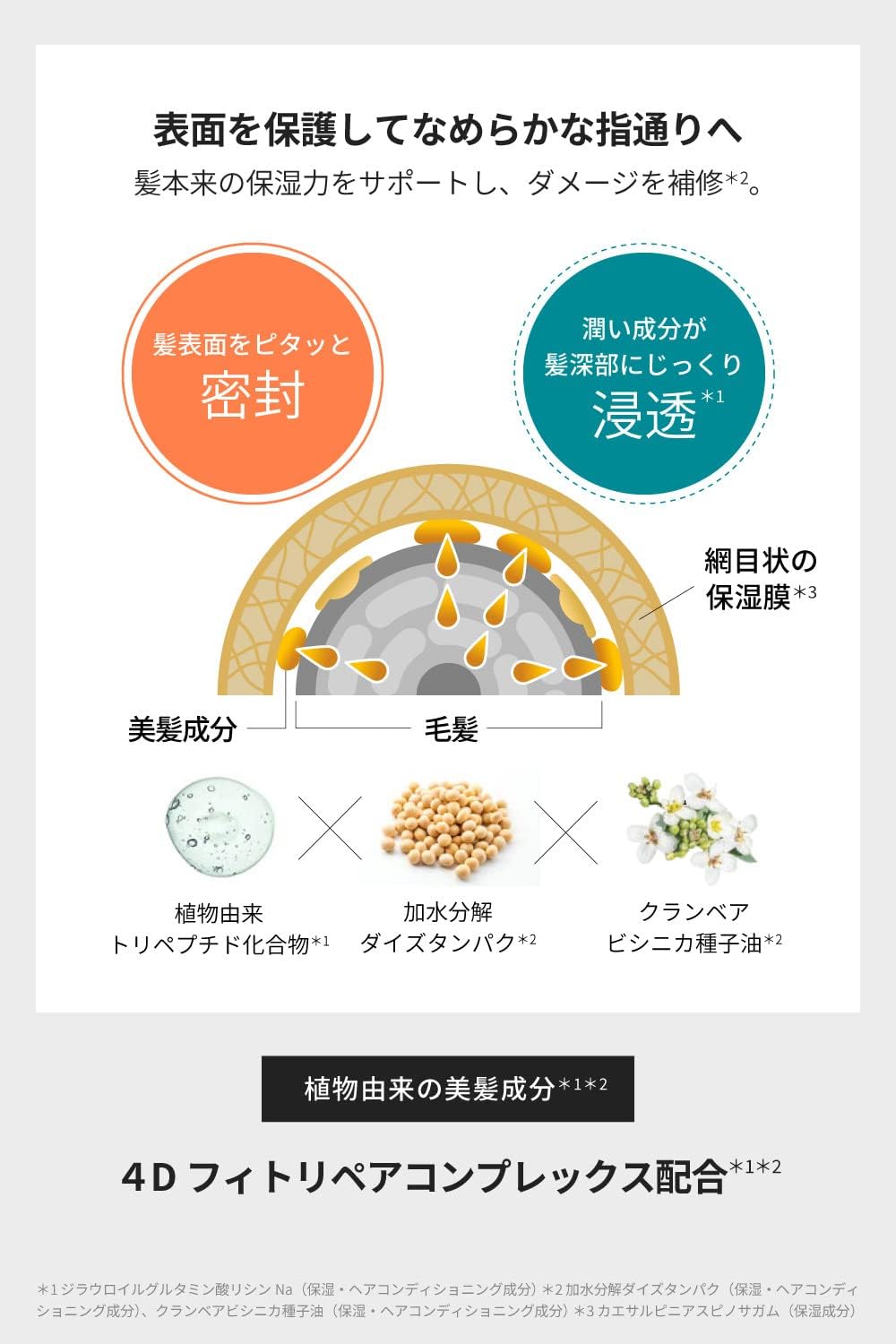 植物由来の成分で健やかな髪と頭皮を保つの画像