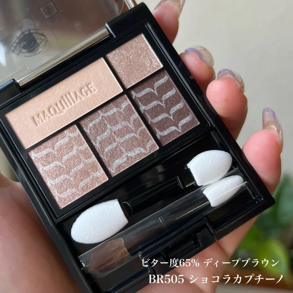 LIPS　ドラマティックスタイリングアイズ　BR505