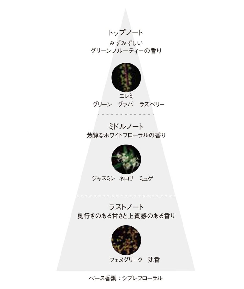 POLA BAクリームN香りのピラミッド イメージ図