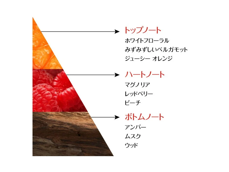 ロレアルパリ　ボンドリペアシャンプー　画像５